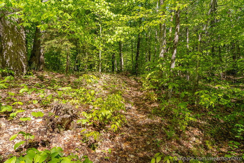 Campsite Photo of Site 192 at Meacham Lake Campground, New York - Looking Back Towards Road
