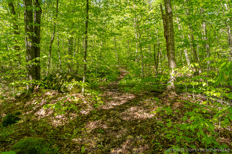 Campsite Photo of Site 192 at Meacham Lake Campground, New York - Looking Back Towards Road