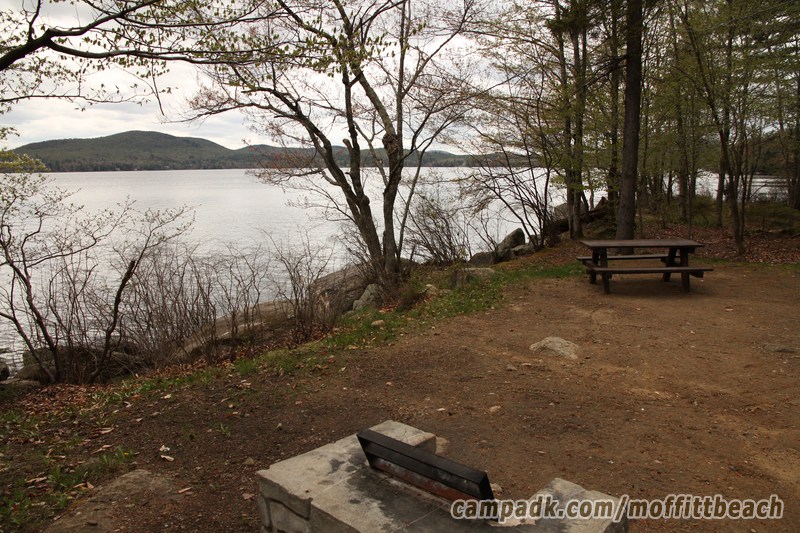 Campsite Photo of Site 193 at Moffitt Beach Campground, New York - Cross Site View