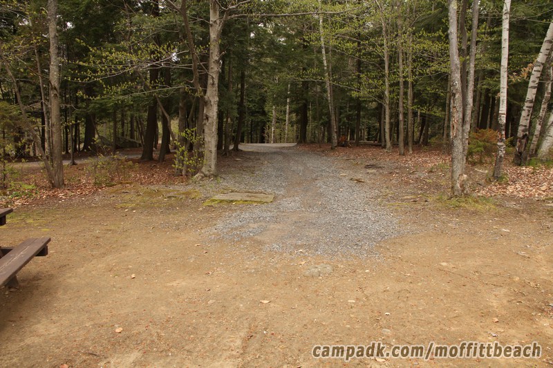 Campsite Photo of Site 193 at Moffitt Beach Campground, New York - Looking Back Towards Road