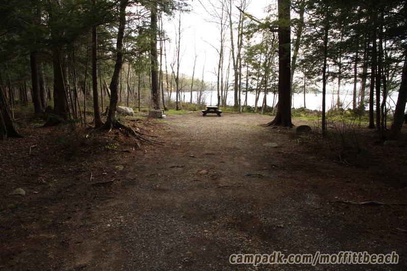 Campsite Photo of Site 118 at Moffitt Beach Campground, New York - Looking at Site from Part Way In