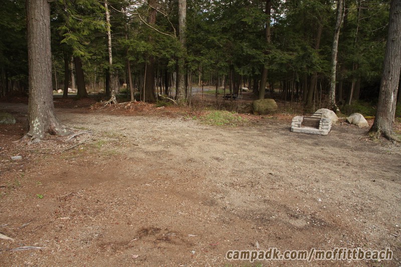 Campsite Photo of Site 118 at Moffitt Beach Campground, New York - Cross Site View