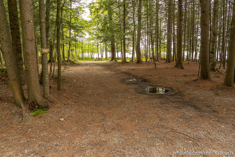 Campsite Photo of Site 118 at Moffitt Beach Campground, New York - Looking at Site from Road Sign Visible