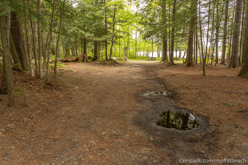 Campsite Photo of Site 118 at Moffitt Beach Campground, New York - Looking at Site from Road