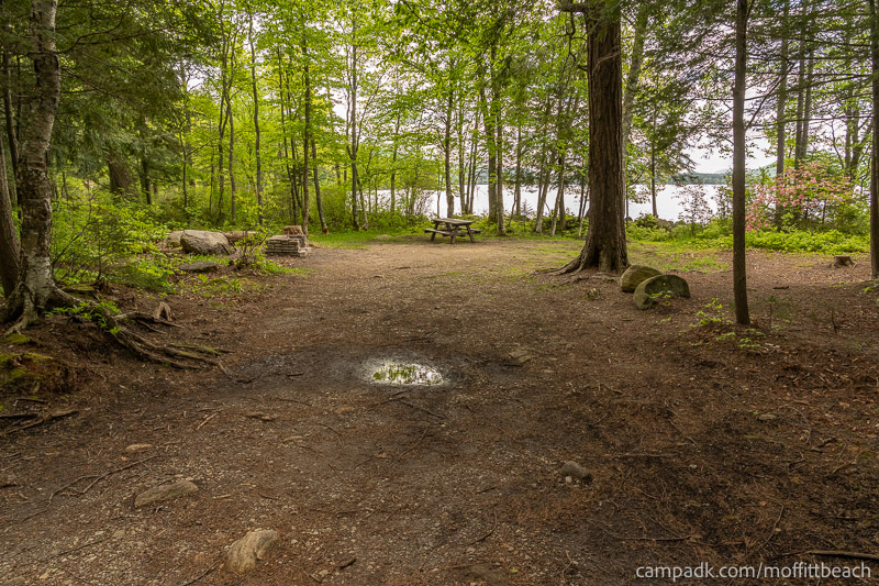 Campsite Photo of Site 118 at Moffitt Beach Campground, New York - Looking at Site from Part Way In
