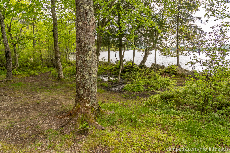Campsite Photo of Site 118 at Moffitt Beach Campground, New York - Cross Site View