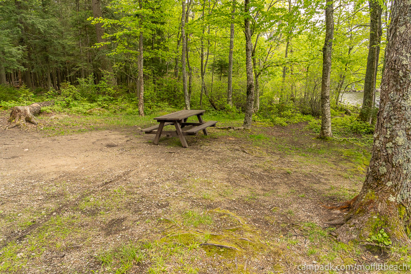 Campsite Photo of Site 118 at Moffitt Beach Campground, New York - Cross Site View
