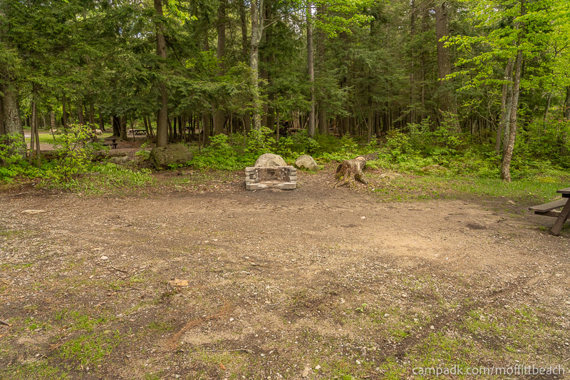 Campsite Photo of Site 118 at Moffitt Beach Campground, New York - Cross Site View