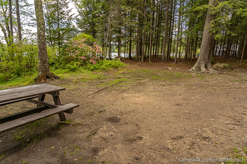 Campsite Photo of Site 118 at Moffitt Beach Campground, New York - Cross Site View