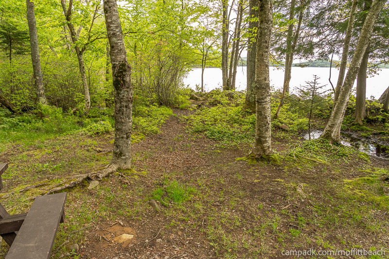 Campsite Photo of Site 118 at Moffitt Beach Campground, New York - Pathway Down to Water