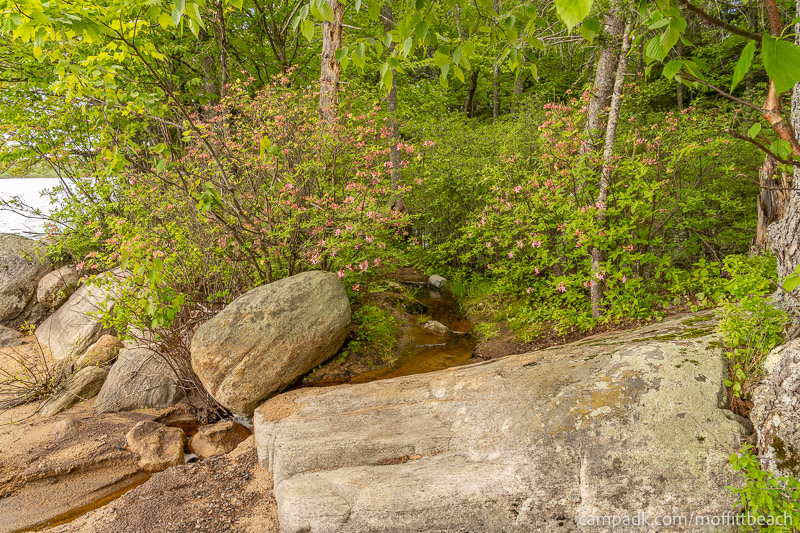 Campsite Photo of Site 118 at Moffitt Beach Campground, New York - Returning Along Pathway from Water