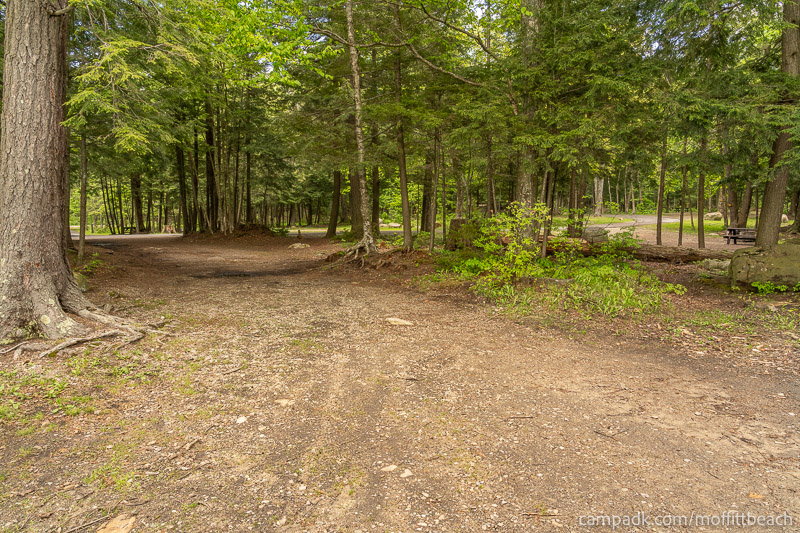 Campsite Photo of Site 118 at Moffitt Beach Campground, New York - Looking Back Towards Road