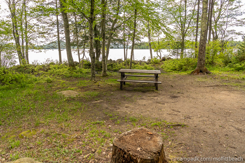 Campsite Photo of Site 118 at Moffitt Beach Campground, New York - Cross Site View