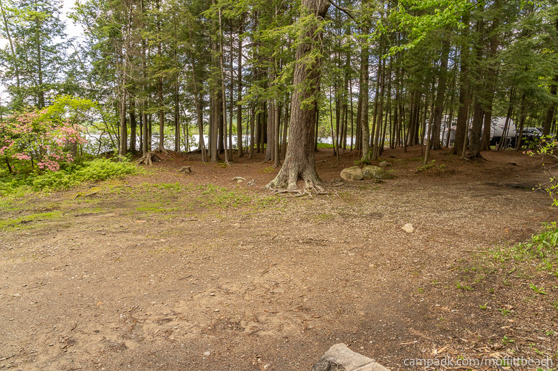 Campsite Photo of Site 118 at Moffitt Beach Campground, New York - Cross Site View