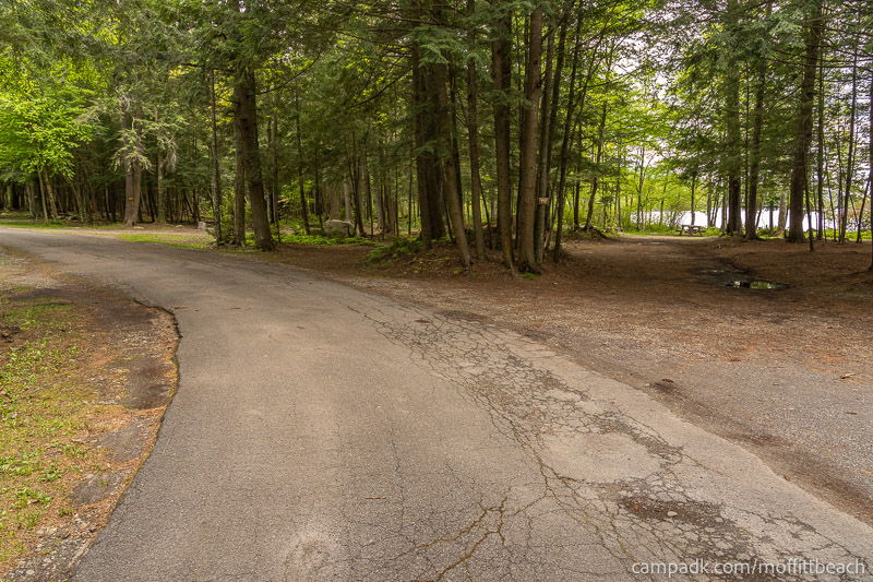 Campsite Photo of Site 118 at Moffitt Beach Campground, New York - View Down Road from Campsite