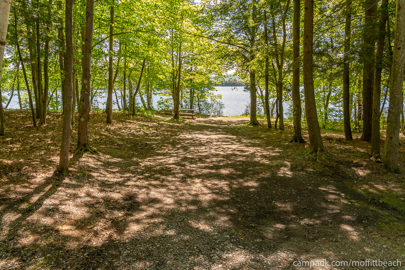 Campsite Photo of Site 193 at Moffitt Beach Campground, New York - Looking at Site from Part Way In