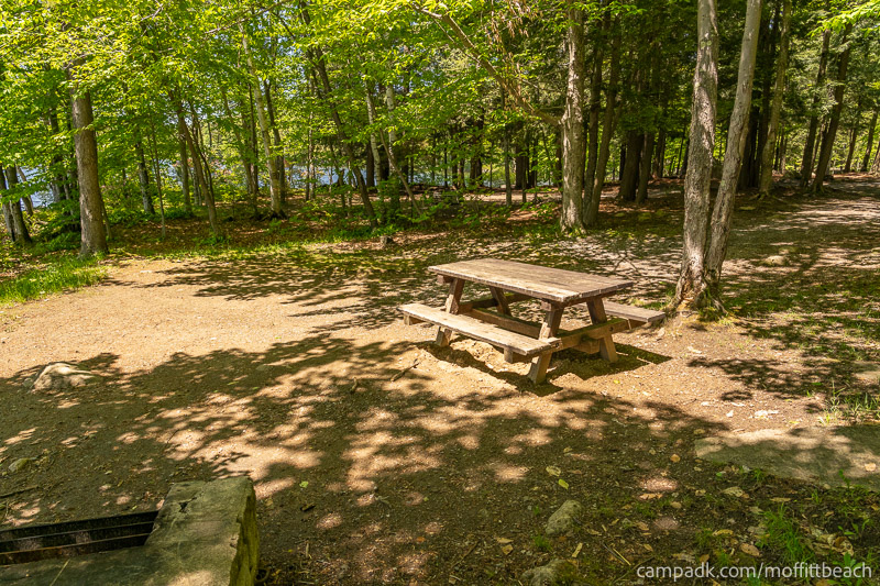Campsite Photo of Site 193 at Moffitt Beach Campground, New York - Cross Site View