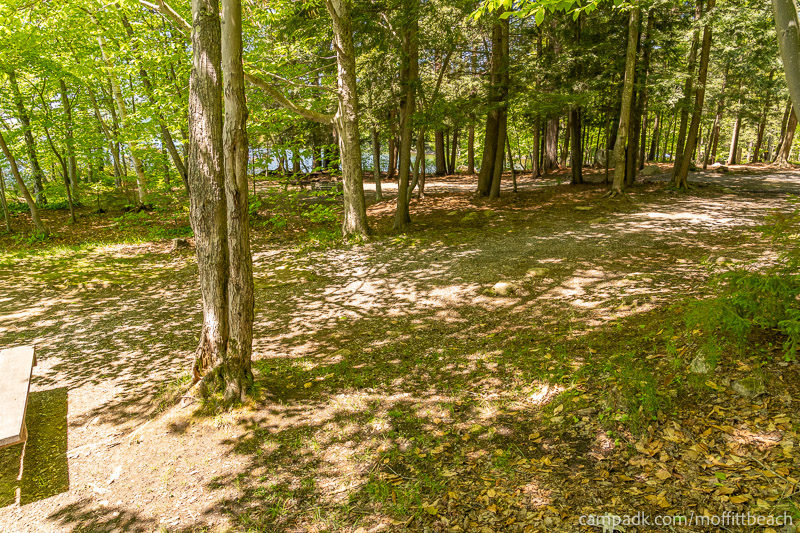 Campsite Photo of Site 193 at Moffitt Beach Campground, New York - Cross Site View