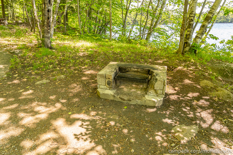 Campsite Photo of Site 193 at Moffitt Beach Campground, New York - Fireplace View
