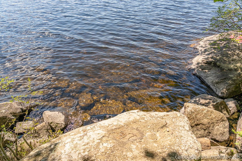 Campsite Photo of Site 193 at Moffitt Beach Campground, New York - Shoreline