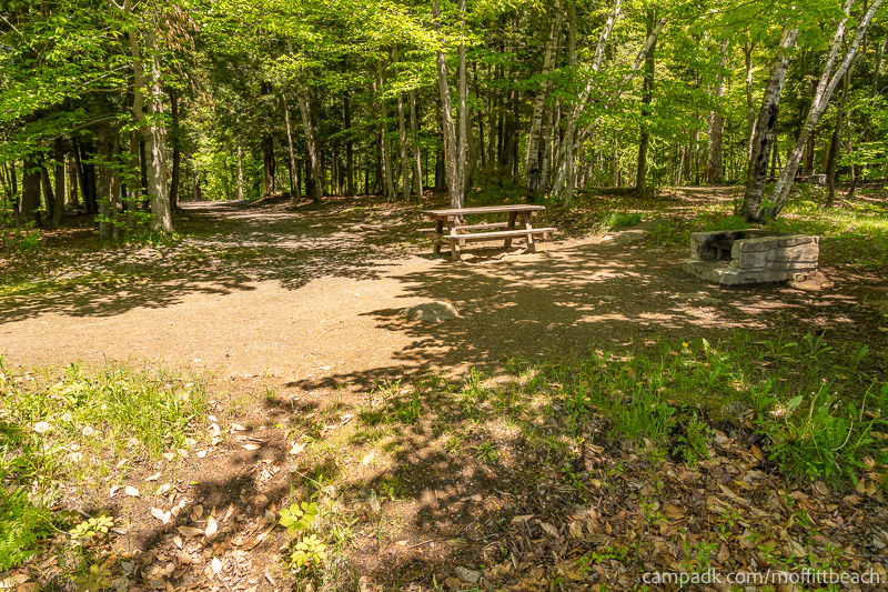 Campsite Photo of Site 193 at Moffitt Beach Campground, New York - Returning Along Pathway from Water