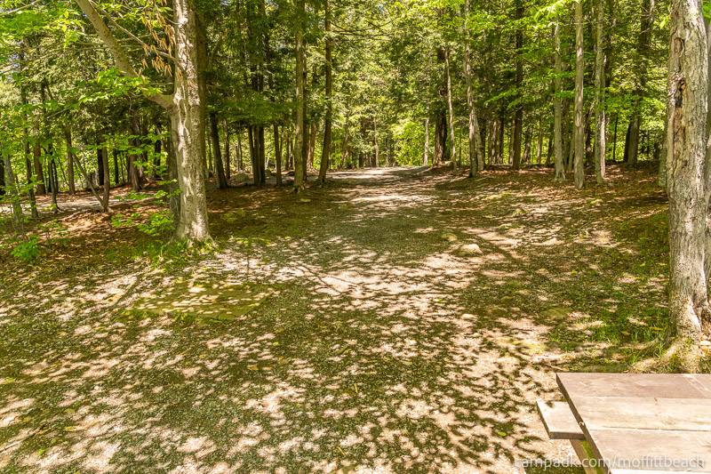 Campsite Photo of Site 193 at Moffitt Beach Campground, New York - Looking Back Towards Road