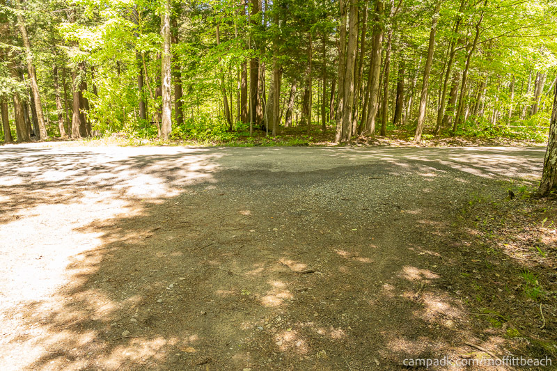 Campsite Photo of Site 193 at Moffitt Beach Campground, New York - Looking Back Towards Road