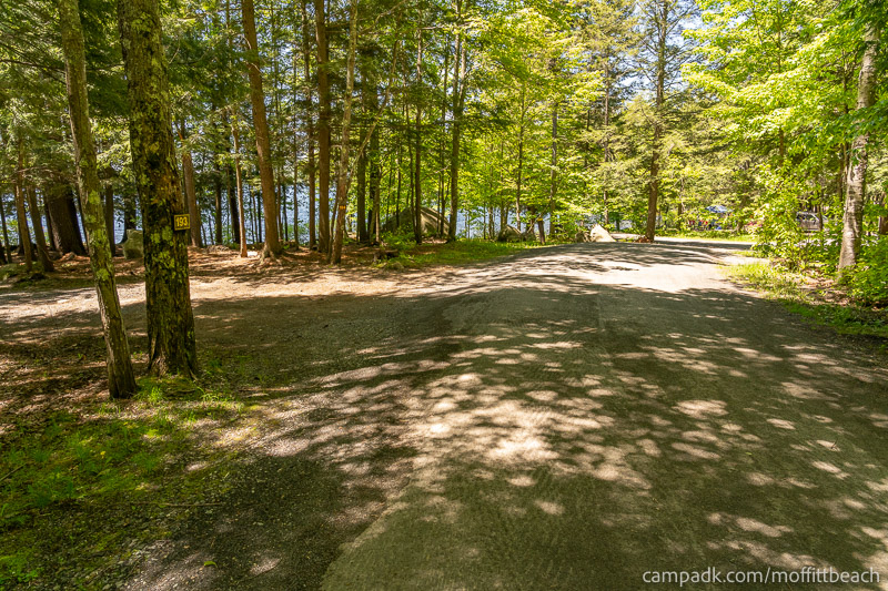Campsite Photo of Site 193 at Moffitt Beach Campground, New York - View Down Road from Campsite