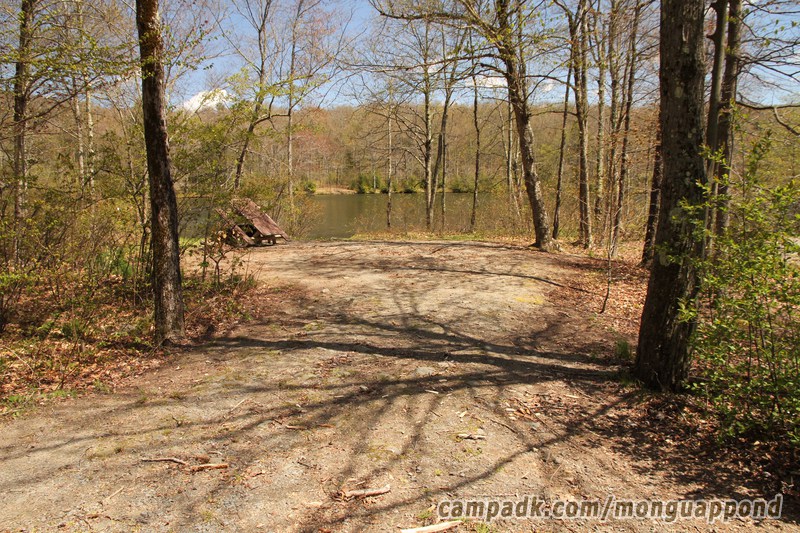 Campsite Photo of Site 136 at Mongaup Pond, New York - Looking at Site from Road