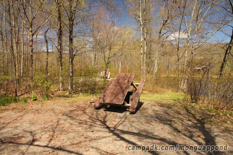 Campsite Photo of Site 136 at Mongaup Pond, New York - Cross Site View