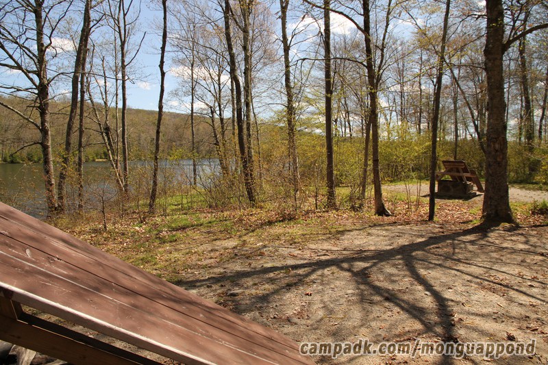 Campsite Photo of Site 136 at Mongaup Pond, New York - Cross Site View