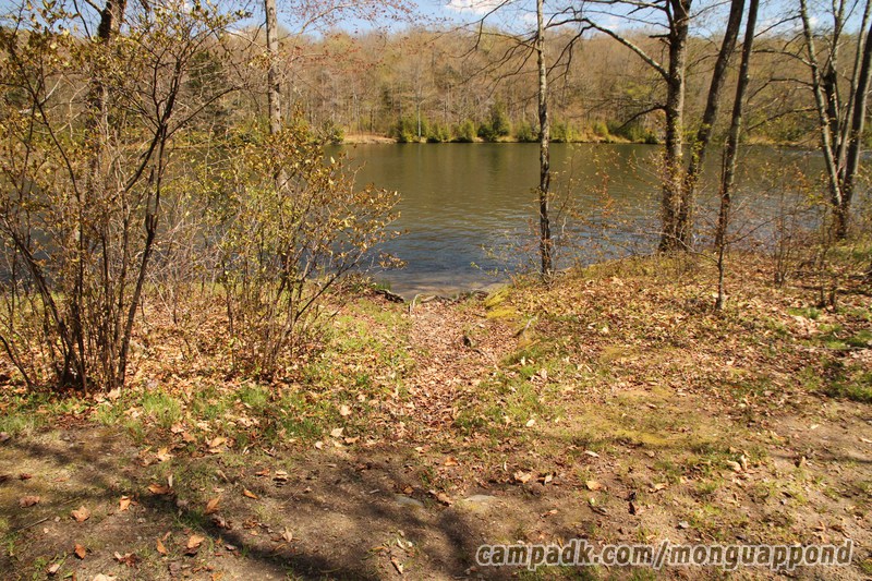 Campsite Photo of Site 136 at Mongaup Pond, New York - Pathway Down to Water