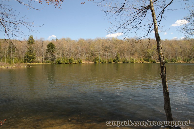 Campsite Photo of Site 136 at Mongaup Pond, New York - View from Shoreline