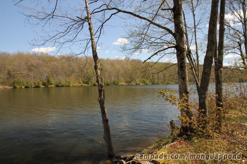 Campsite Photo of Site 136 at Mongaup Pond, New York - View from Shoreline