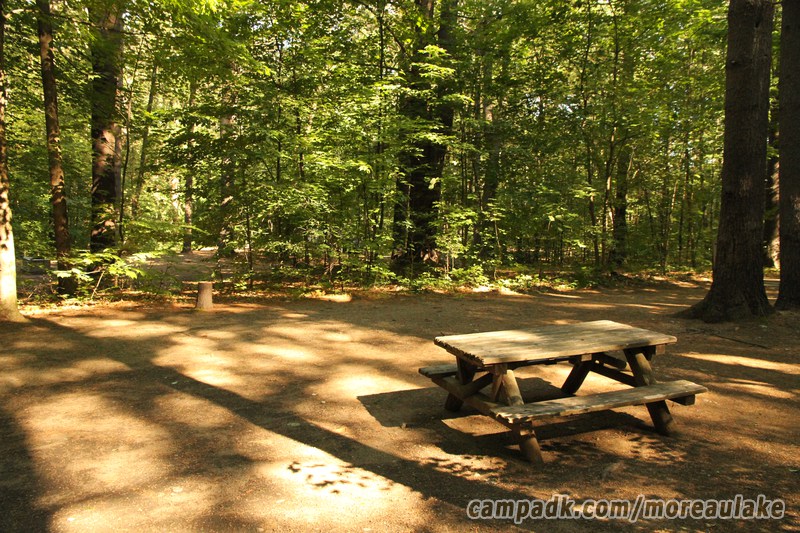 Campsite Photo of Site 83 at Moreau Lake State Park, New York - Cross Site View