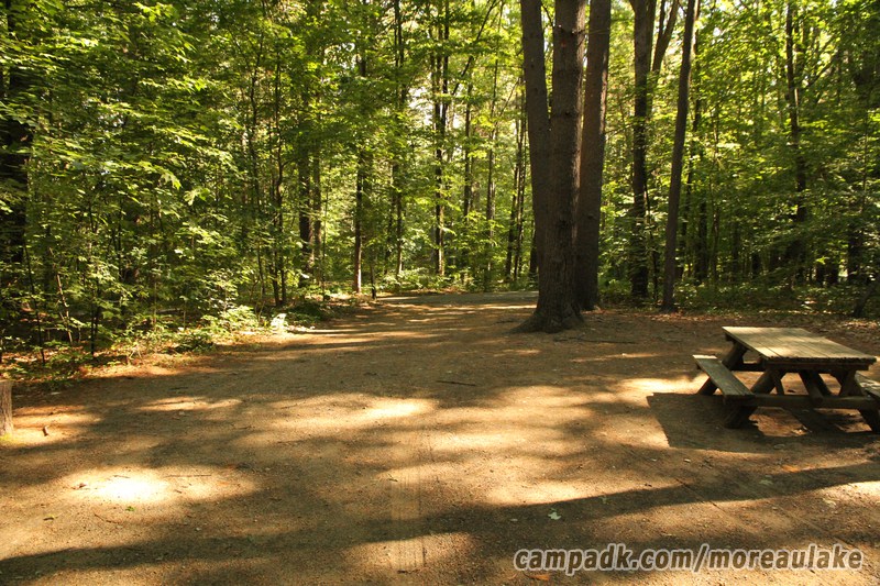 Campsite Photo of Site 83 at Moreau Lake State Park, New York - Looking Back Towards Road