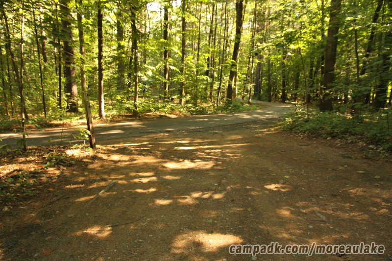Campsite Photo of Site 83 at Moreau Lake State Park, New York - Looking Back Towards Road