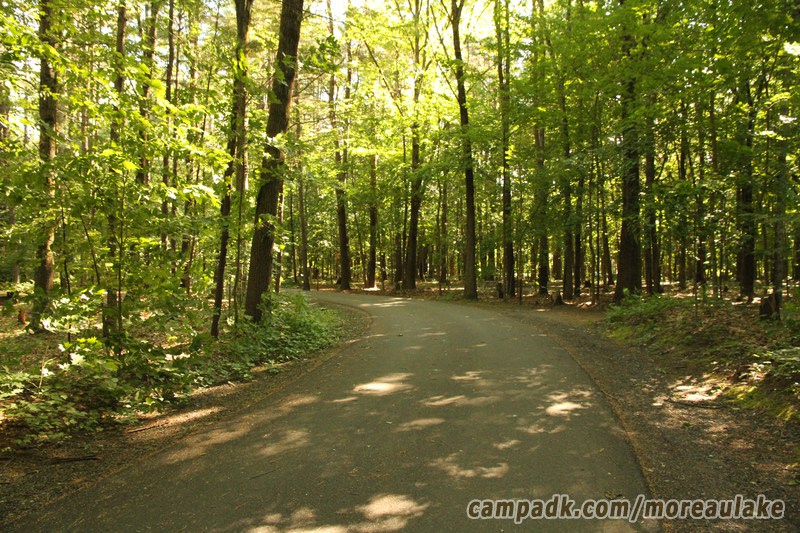 Campsite Photo of Site 83 at Moreau Lake State Park, New York - View Down Road from Campsite