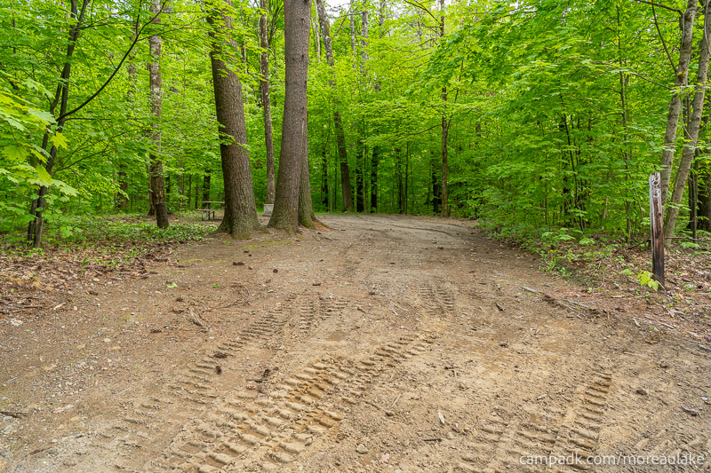 Campsite Photo of Site 83 at Moreau Lake State Park, New York - Looking at Site from Road Sign Visible
