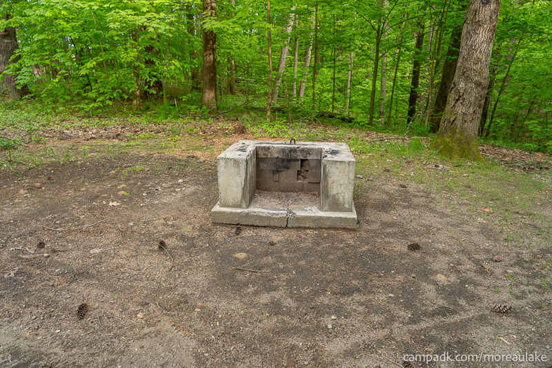 Campsite Photo of Site 83 at Moreau Lake State Park, New York - Fireplace View