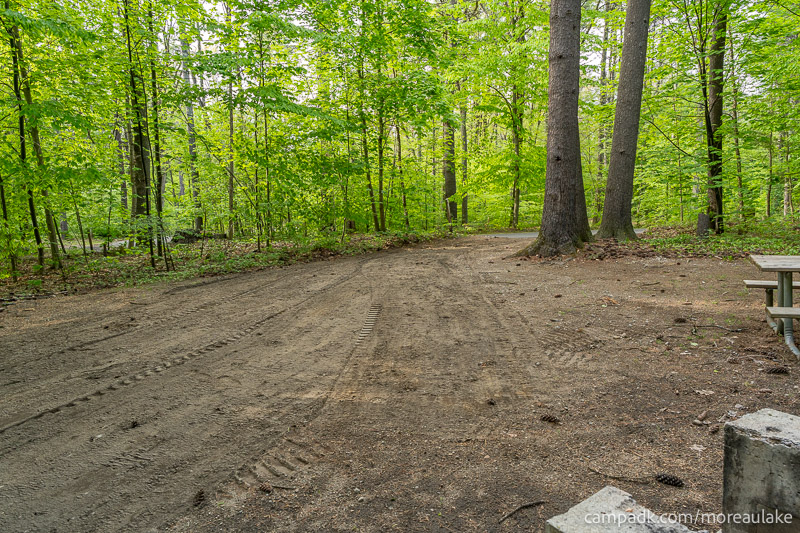 Campsite Photo of Site 83 at Moreau Lake State Park, New York - Looking Back Towards Road