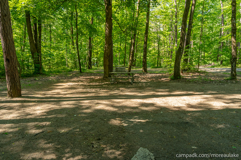 Campsite Photo of Site 28 at Moreau Lake State Park, New York - Cross Site View