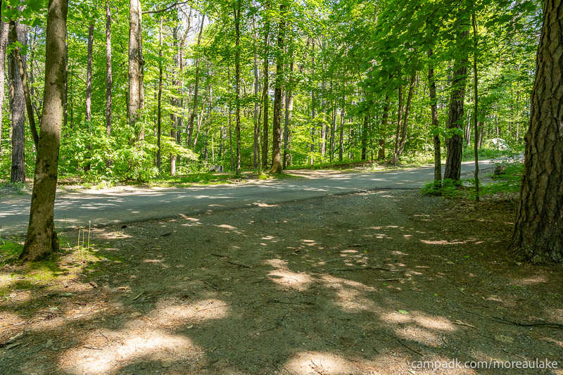 Campsite Photo of Site 28 at Moreau Lake State Park, New York - Looking Back Towards Road