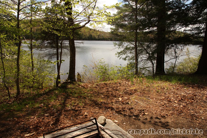 Campsite Photo of Site 112 at Nicks Lake Campground, New York - Fireplace View