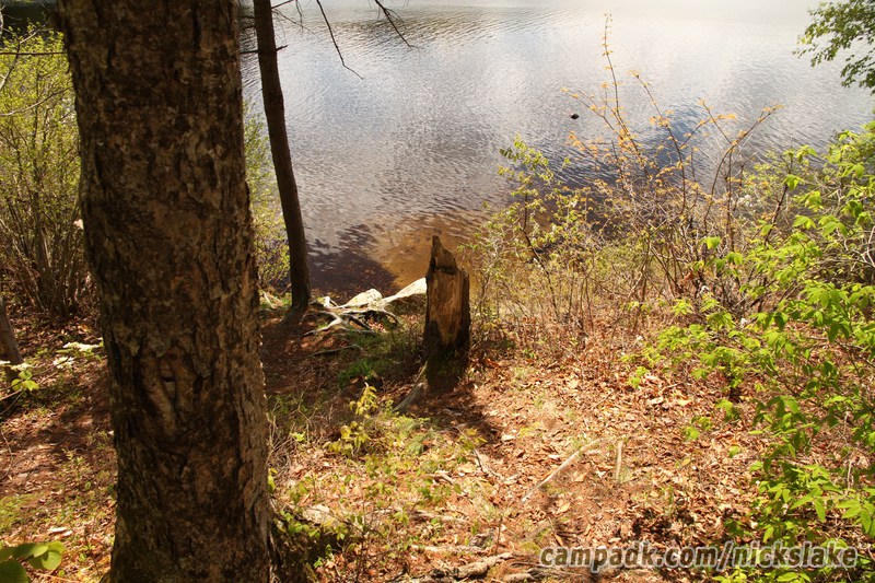 Campsite Photo of Site 112 at Nicks Lake Campground, New York - Shoreline