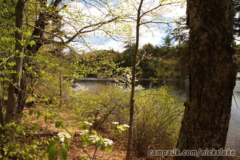 Campsite Photo of Site 112 at Nicks Lake Campground, New York - View from Shoreline