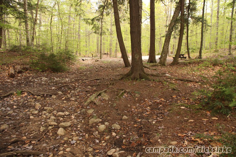 Campsite Photo of Site 70 at Nicks Lake Campground, New York - Returning Along Pathway from Water