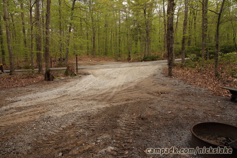 Campsite Photo of Site 70 at Nicks Lake Campground, New York - Looking Back Towards Road