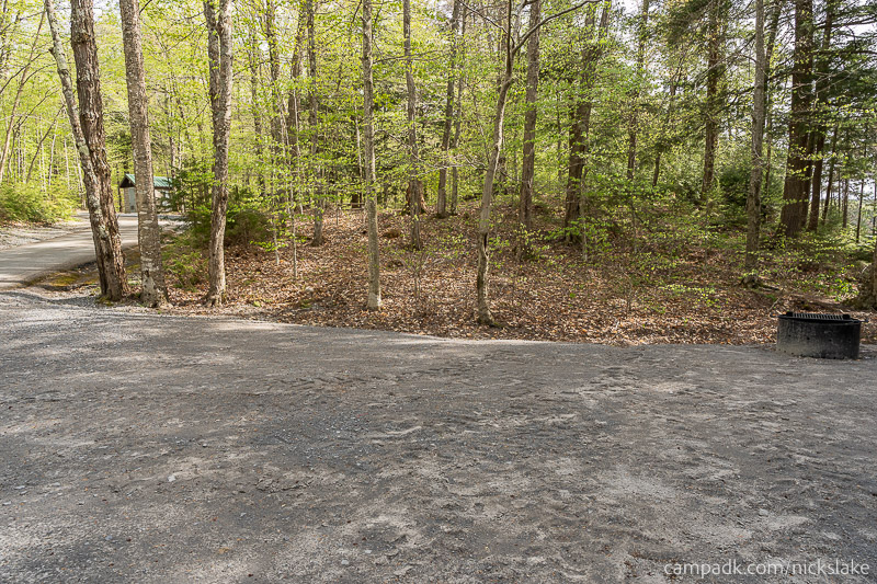 Campsite Photo of Site 70 at Nicks Lake Campground, New York - Cross Site View