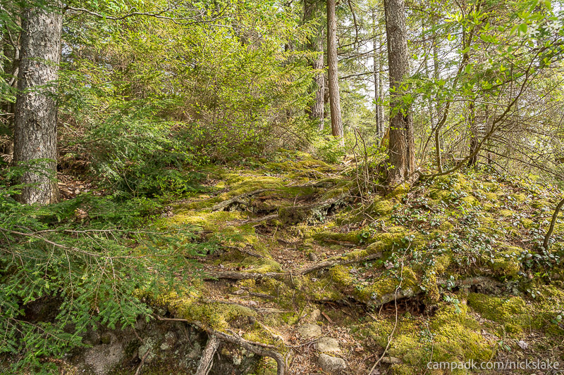 Campsite Photo of Site 70 at Nicks Lake Campground, New York - Returning Along Pathway from Water